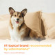 Douxo S3 Pyo Medicated Dog Mousse Bacterial & Yeast Infection Treatment For Dogs 5 Fl Oz