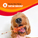 Good 'n' Fun Good'n'fun Triple Flavored Rawhide Kabobs For Dogs 2 Pack 24 Oz 36 Count
