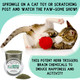 From The Field Fine Ground Stalkless Catnip 1.5 Oz