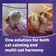 Feliway Optimum Cat Calming Diffuser Refill 2 Pack