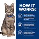 Hill's Prescription Diet MultiOrgan Complex Support Dry Cat Food Chicken . Bag 4 Lb