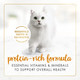 Fancy Feast Purina Fancy Feast Tender Chicken And Liver Feast Classic Grain 3 Oz Pack Of 24