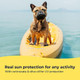 Gentle Creatures Dog Sunscreen Spf 30+ With Skin Moisturizing Vitamin E And Olive