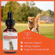 Life Of Health Natural Antibiotics For Dogs 1 Oz
