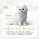 Fancy Feast Purina Fancy Feast Kitten Tender Turkey Feast Wet Kitten Food Pate 3 Oz Pack Of 24
