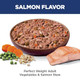 Hill's Science Diet Adult Perfect Weight Wet Dog Food Vegetables & Salmon Stew 2.8 Oz 24Pack