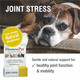 Homeopet Joint Stress Joint Support For Dogs And Cats Liquid Pet Meds 15 Milliliters