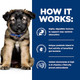 Hill's Prescription Diet I/D Digestive Care Puppy Dry Dog Food Chicken . Bag 8.5 Lb