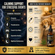 K2Xlabs Buster's Gold Organic Hemp Oil For Dogs And Cats 2 Large 60Ml 2Pack