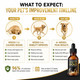 K2Xlabs Buster's Gold Organic Hemp Oil For Dogs And Cats 2 Large 60Ml 2Pack