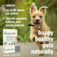 Homeopet Nose Relief Safe And Natural Sinus Supplement For Cats Dogs And 15 Milliliters