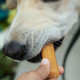 Himalayan Dog Chew Yaky Churro Himalayan Cheese Treats 10 Inch
