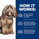 Hill's Prescription Diet Brain Care + J/D Joint Care Dry Dog Food Chicken 8.5 Lb