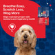 Naturvet Scoopables Aller911 Dog Allergy Support Vitamins Supports Immunity & Seasonal Allergies 11Oz