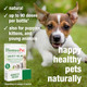 Homeopet Anxiety Relief Medicine For Pets Natural Anxiety Relief For Dogs And 15 Milliliters