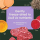 Instinct Rawboost Functional Mixers Freeze Dried Dog Food Topper GrainFree Real Beef 5.5 Oz