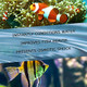 MicrobeLift MicrobeLift Xtreme Water Conditioner Treatment For Aquariums And Fish Tanks AllInOne 64 Ounces