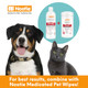 Nootie Medicated Pet Shampoo Chlorhexidine Dog Shampoo For Itch Relief Sold In 16Oz