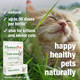 Homeopet Feline Purr Dental Safe And Natural Tooth And Dental Care For 15 Milliliters