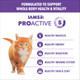 Iams Proactive Health Healthy Kitten Dry Cat Food Salmon Recipe . Bag 7 Lb
