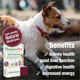 Homeopet Liver Rescue Safe And Natural LiverSupport Supplement For Cats Dogs And 15 Milliliters