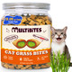 Multibites Cat Grass Treats For Indoor Cats With Taurine For Cats And 13.05Oz