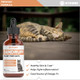 Ivitamins Cat Dandruff Treatment 1 Fl Oz