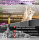 Inqigi Dewormer For Cats