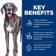 Hill's Science Diet Adult 15 Perfect Digestion Large Breed Dry Dog Food Chicken Brown 22 Lb