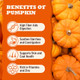 Multibites Pumpkin Powder For Dogs & Cats Digestive Supplement With Probiotics Prebiotics 3.88 Oz