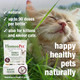 Homeopet Feline Kidney Rescue Safe And Natural Renal Supplement For Cats And 15 Milliliters