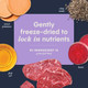 Instinct Raw Boost Mixers Freeze Dried Cat Food Toppers With Functional Ingredients 5.5 Oz - 2