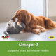 Now Foods Pet Health Omega 3 Supplement Formulated For Cats & Dogs 180 Softgels