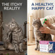 Nice2Cu Topical Flea & Tick Drops For Cats & Kittens Waterproof Monthly 1.5 Lbs