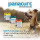Panacur C Canine Dewormer (Fenbendazole) (Pack Of 1) Red 4 Gram 3 Count