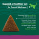 Petnc Natural Care Hairball Soft Chews For Cats Helps Reduce Cat Hairball Formation With 90 Count