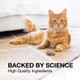 Nutramax Laboratories Denosyl Liver And Brain Health Supplement For Small Dogs And Cats 3 Pack