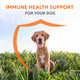 Nutramax Laboratories Imuquin Immune Health Supplement Powder For Dogs With Beta Glucans Marine 30 Pack