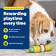 Petsafe Natural Rawhide Treat Ring Refills Size B Peanut Butter Flavor