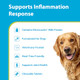 Prn Pharmacal Duralactin Canine Chewable Tablets Joint Health Supplement For Dogs & 60 Count