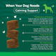 Petnc Natural Care Calming Aid Soft Chews For Dogs For Dogs Helps Promote Calmness 120 Count