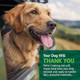 Petnc Natural Care Calming Aid Soft Chews For Dogs For Dogs Helps Promote Calmness 120 Count