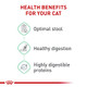 Royal Canin Feline Care Nutrition Digestive Care Adult Dry Cat Food Bag 3 Lb