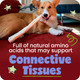 Pawstruck Natural Large Collagen Stick Barbells For Dogs VetApproved Long Lasting Chew 6 Pack