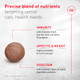 Royal Canin Feline Health Nutrition Aging 11+ Dry Cat Food For Seniors Kibble 6 Lb