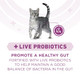 Purina One Plus Whole Body Support With Chicken Dry Cat Food . Bag 3.5 Lb