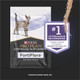 Pro Plan Veterinary Diets Purina Pro Plan Veterinary Supplements Fortiflora Daily Probiotics For Cats For 30 Ct