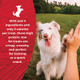 Rewardables Beef & Bully Collagen Puff Treats For Dogs For Rewarding And 6 Oz