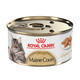 Royal Canin Feline Breed Nutrition Maine Coon Adult Thin Slices In Gravy Cat 3 Oz Pack Of 24