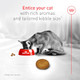 Royal Canin Fussy Dry Cat Food For Adult Cats ProteinRich Kibbles For Picky 7 Lb
